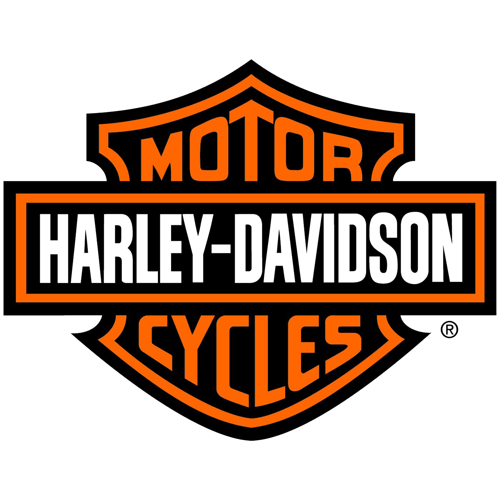 Harley Davidson Goodridge Clutches