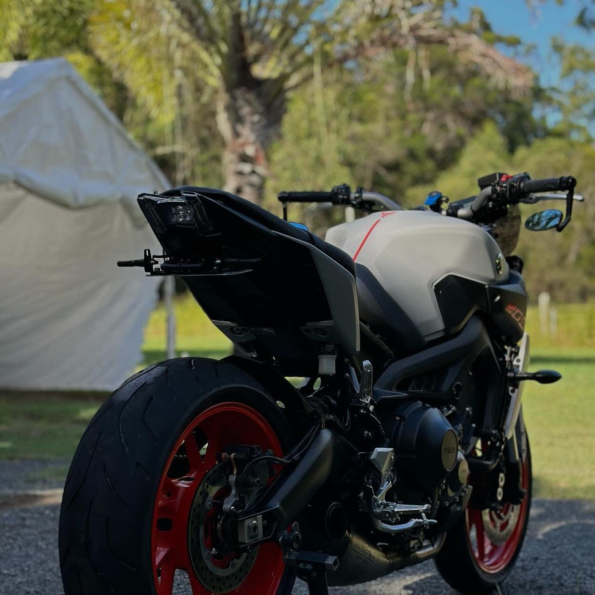 Yamaha MT09 Flip N Dip