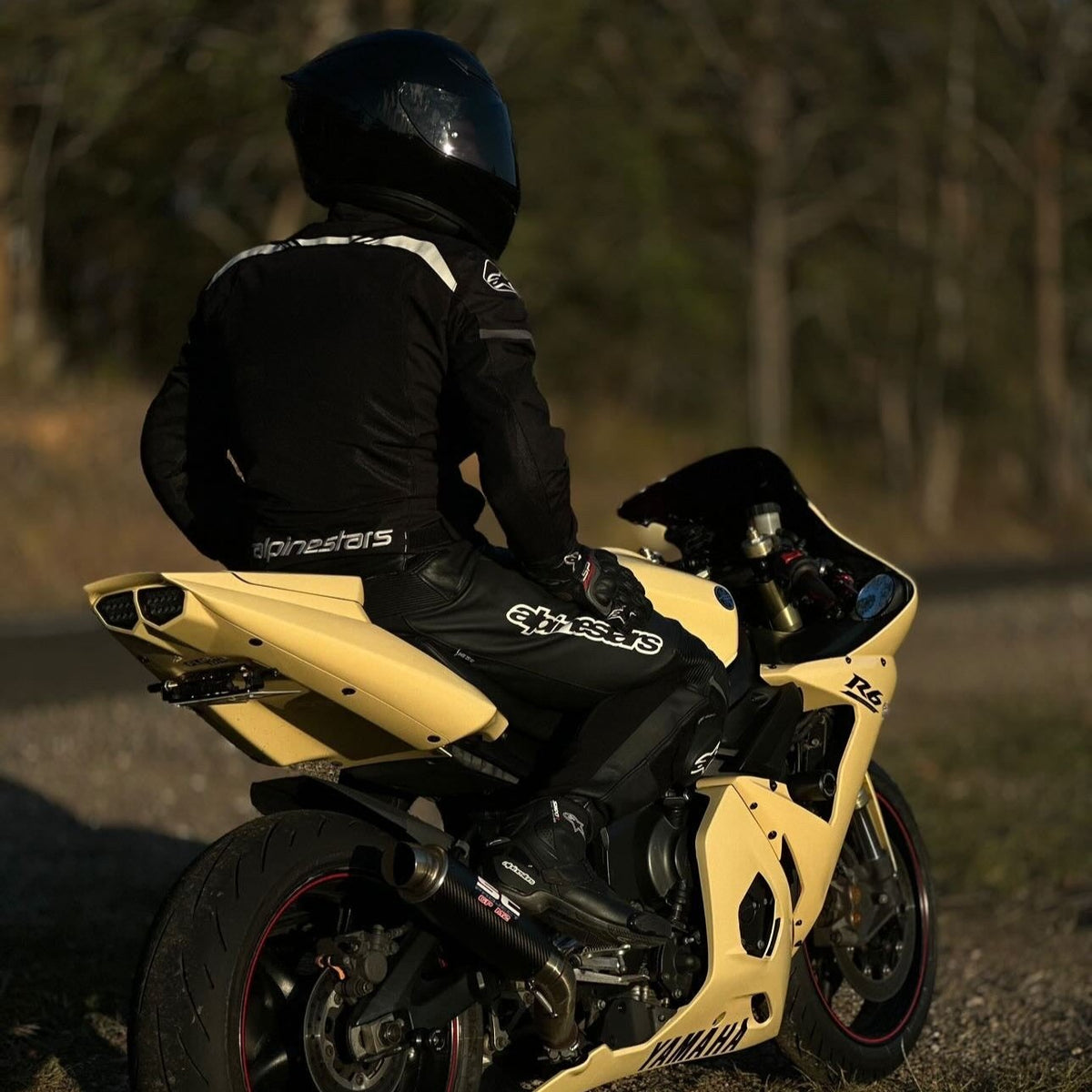 Yamaha R6 Flip N Dip